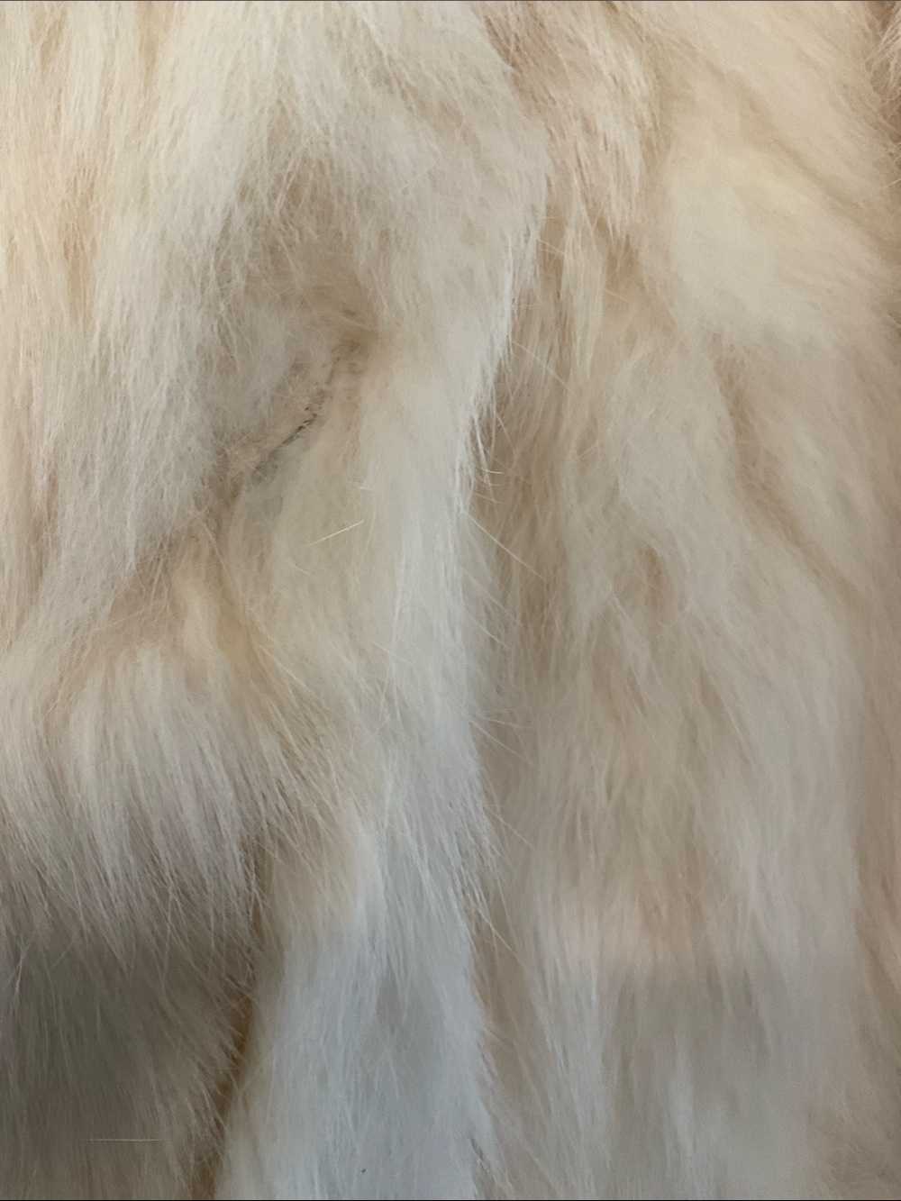 NWT Luxury Real Rabbit Fur Cream Vintage Coat - Stylish Warm Jacket - Picture 4 of 16